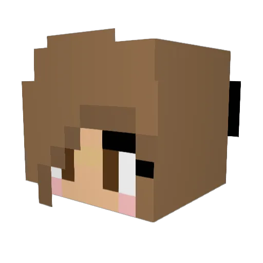 Rileybug01 Minecraft avatar head, 3D render