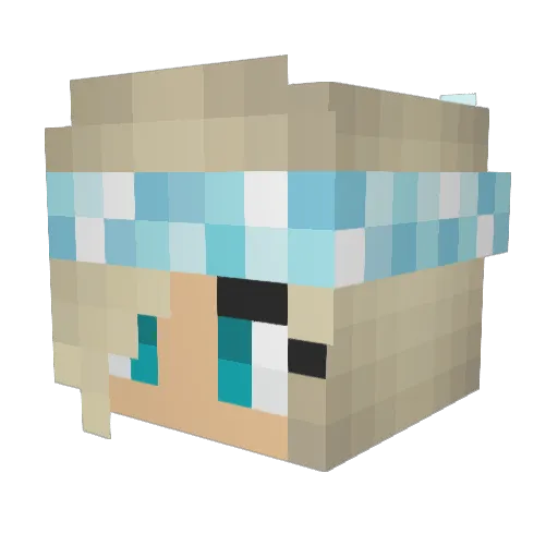Rileyg3 Minecraft avatar head, 3D render
