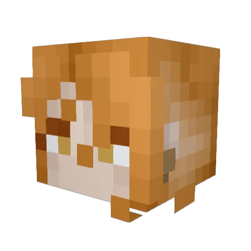 Rileyistrying Minecraft avatar head, 3D render