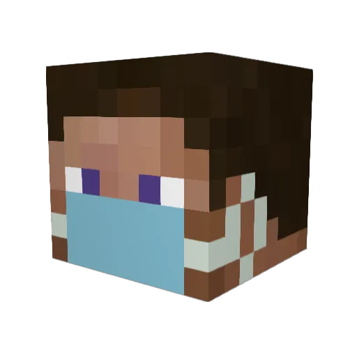 Rileynashh23 Minecraft avatar head, 3D render