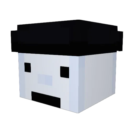 Rileynicole66 Minecraft avatar head, 3D render