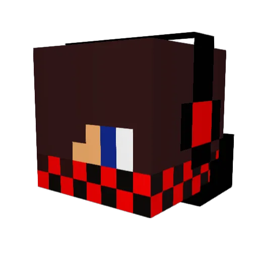 Rileyrocks2002 Minecraft avatar head, 3D render