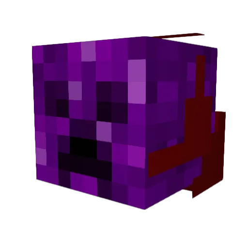 Rileysweet Minecraft avatar head, 3D render