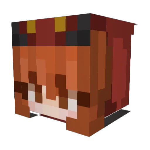 RileyyRee Minecraft avatar head, 3D render