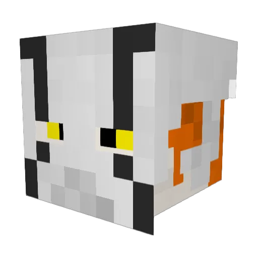 Rilez96 Minecraft avatar head, 3D render