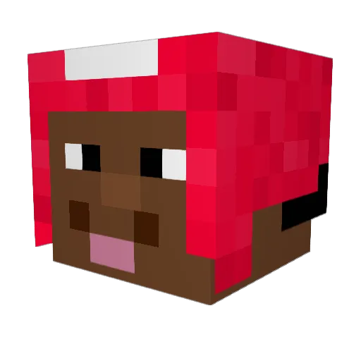 RilezJimSack Minecraft avatar head, 3D render