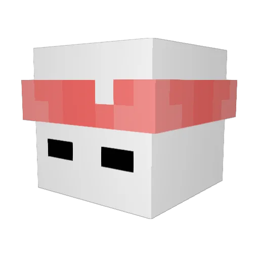 RillOwn Minecraft avatar head, 3D render