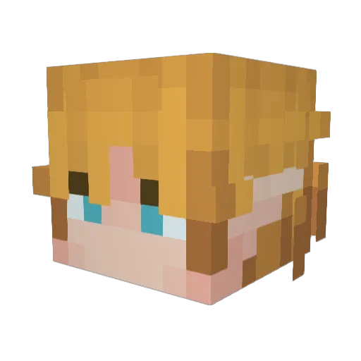 Rillaboom27 Minecraft avatar head, 3D render
