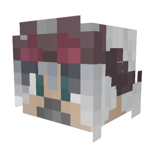 Rillow98 Minecraft avatar head, 3D render