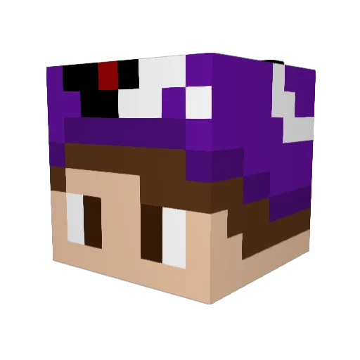 Rilly101 Minecraft avatar head, 3D render