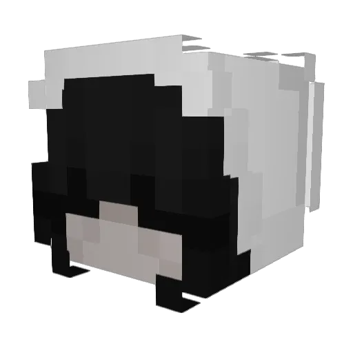 Rilsy_05 Minecraft avatar head, 3D render