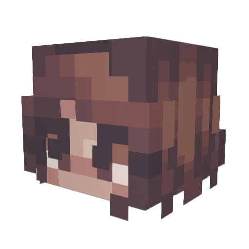 RimRey Minecraft avatar head, 3D render