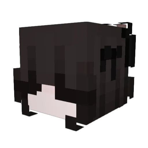 Rimbo_ Minecraft avatar head, 3D render