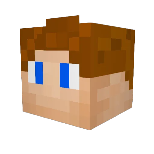 Rimez_ Minecraft avatar head, 3D render