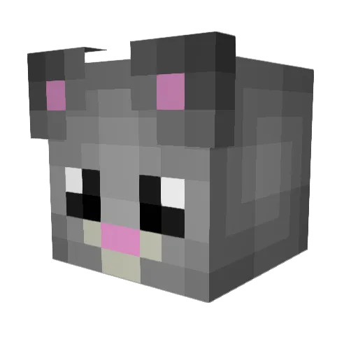 Rimi4 Minecraft avatar head, 3D render