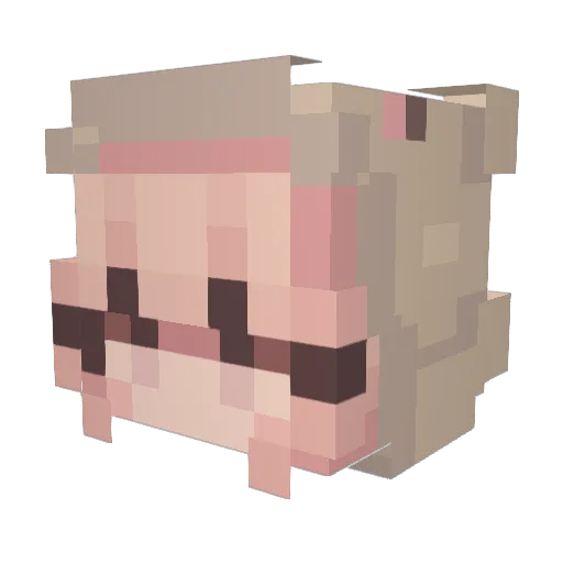 RimityRose Minecraft avatar head, 3D render