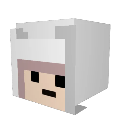 Rimmbus Minecraft avatar head, 3D render