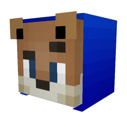 RimorSpaciu Minecraft avatar head, 3D render