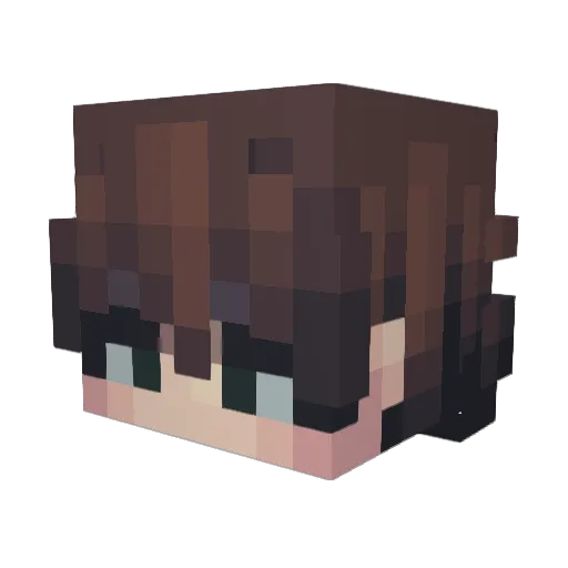 Rimzzy Minecraft avatar head, 3D render