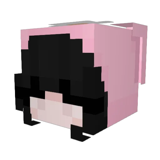 Rin02021 Minecraft avatar head, 3D render