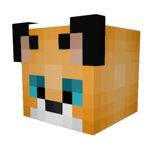 Rin308 Minecraft avatar head, 3D render