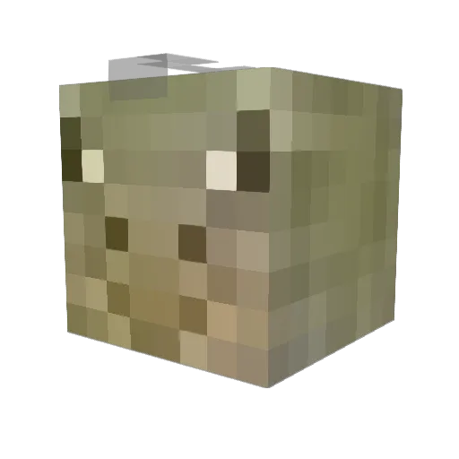 Rin5k Minecraft avatar head, 3D render