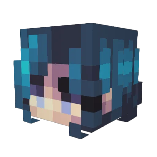 Rin6647 Minecraft avatar head, 3D render