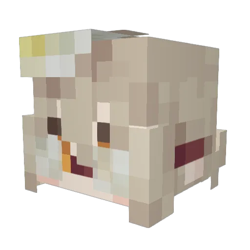 RinDefault Minecraft avatar head, 3D render