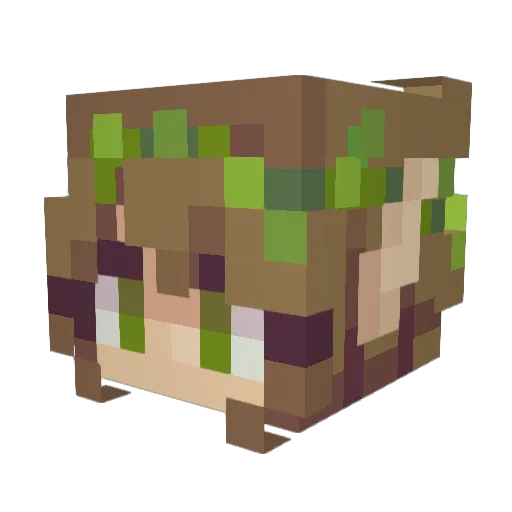 RinElf Minecraft avatar head, 3D render