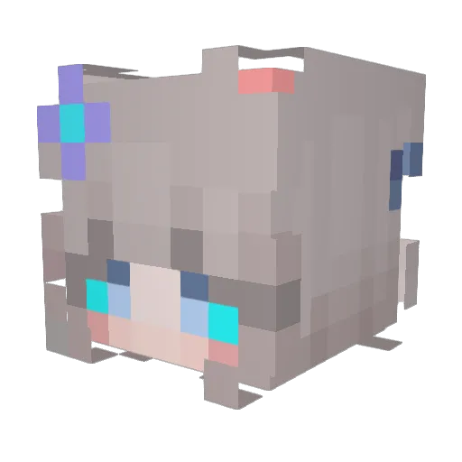 RinGo57221 Minecraft avatar head, 3D render