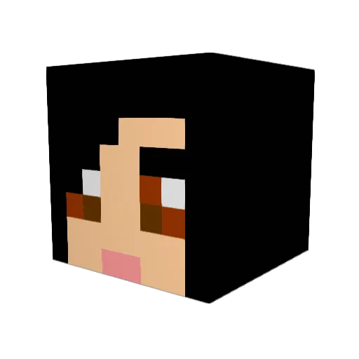 RinRin91 Minecraft avatar head, 3D render