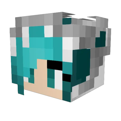 RinRinOranges Minecraft avatar head, 3D render
