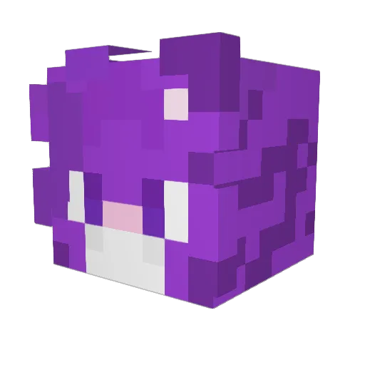 RinRoss Minecraft avatar head, 3D render