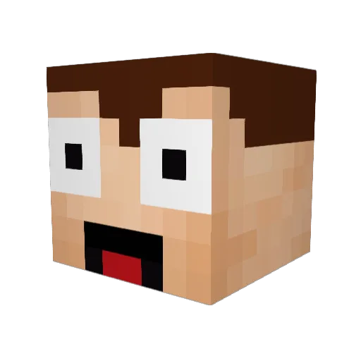 RinTin6203 Minecraft avatar head, 3D render
