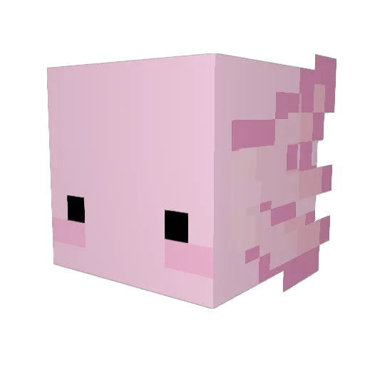 Rin_2 Minecraft avatar head, 3D render