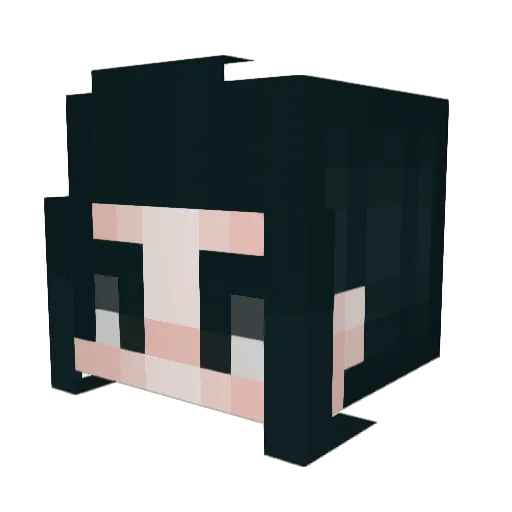 Rin_Nis Minecraft avatar head, 3D render