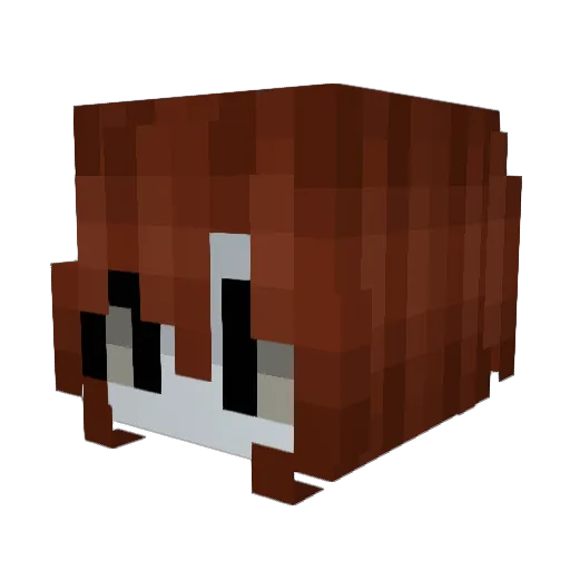 RinaMikaeri Minecraft avatar head, 3D render