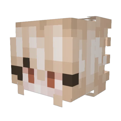 RinaRegalia Minecraft avatar head, 3D render