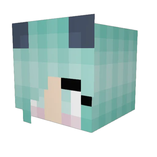 Rinado Minecraft avatar head, 3D render