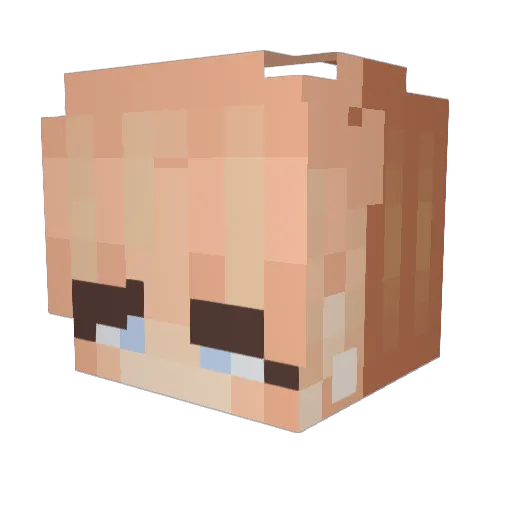 Rinaldster Minecraft avatar head, 3D render
