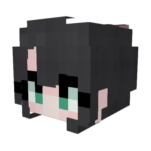 Rinch01 Minecraft avatar head, 3D render