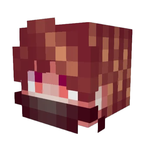 RinchKing Minecraft avatar head, 3D render