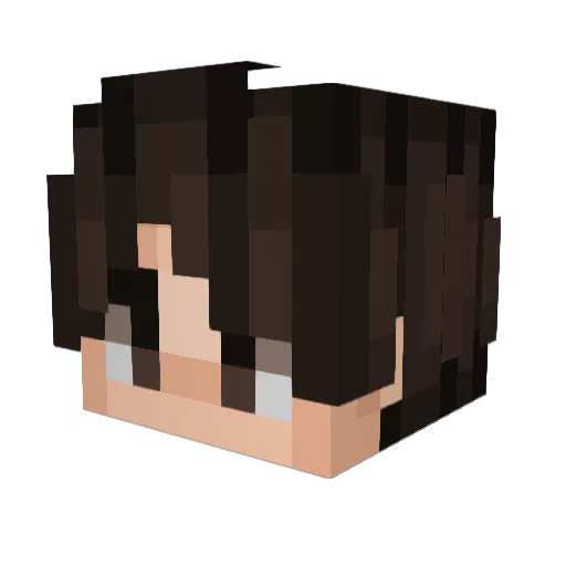 Rinck__ Minecraft avatar head, 3D render