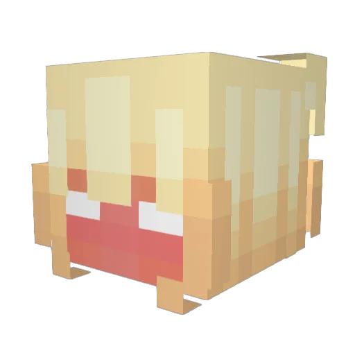 RinckoZ_ Minecraft avatar head, 3D render