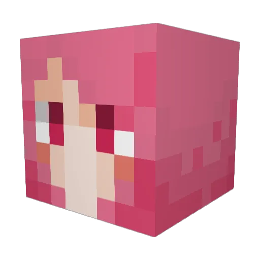 Rindovan Minecraft avatar head, 3D render
