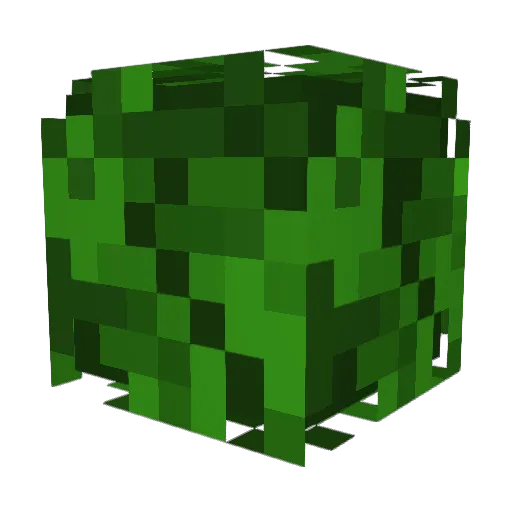 RingWraith722 Minecraft avatar head, 3D render