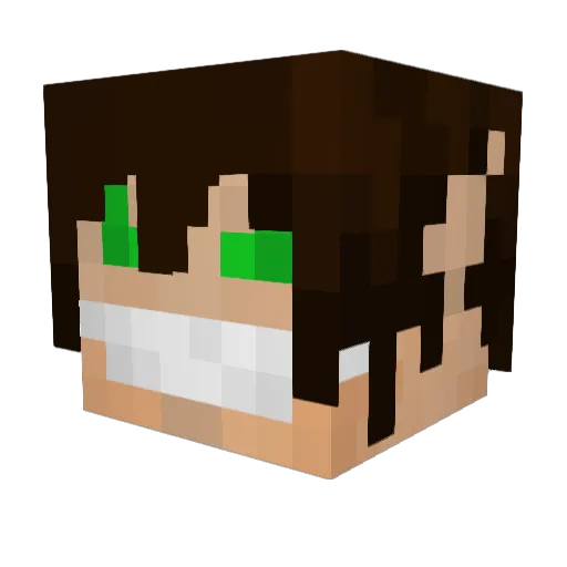 Ringdaily Minecraft avatar head, 3D render
