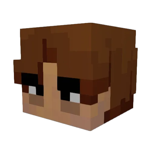 RingedOmnivore Minecraft avatar head, 3D render
