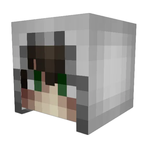 Ringoo19 Minecraft avatar head, 3D render