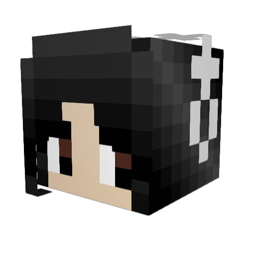 RingstedeSport6 Minecraft avatar head, 3D render
